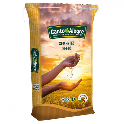 Trigo Serraceno - Canto Alegre - Quantidade: 20 kg