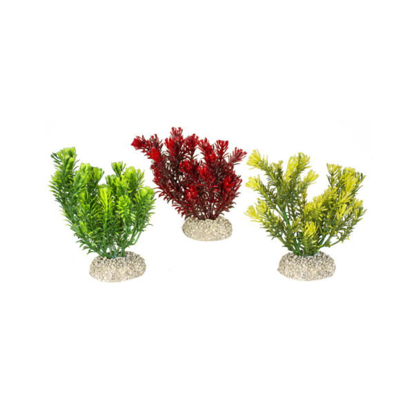 Plantas coloridas decorativas para aquários - EBI (Tamanho M)