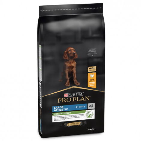 Pro Plan Healthy Start Large Athletic Puppy - Ração seca para cachorro grande - Frango - Quantidade: 12 kg